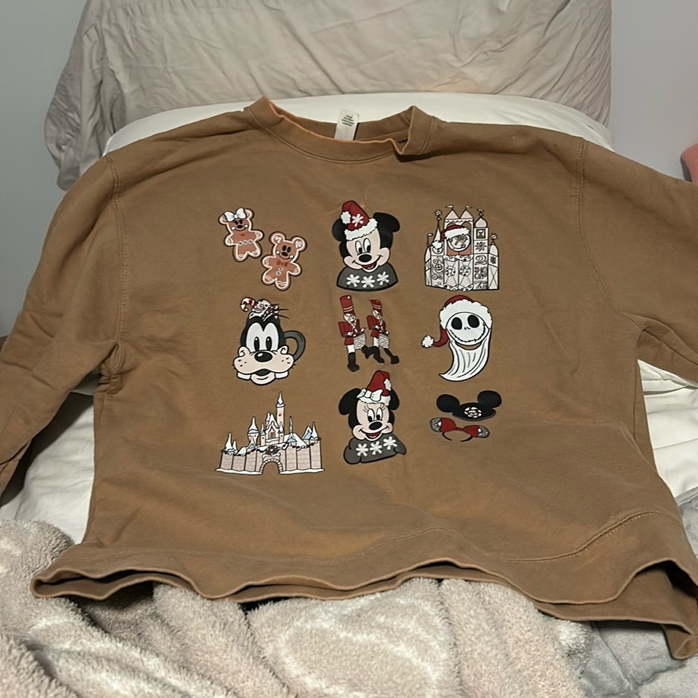 Disneyland long sleeve sweater